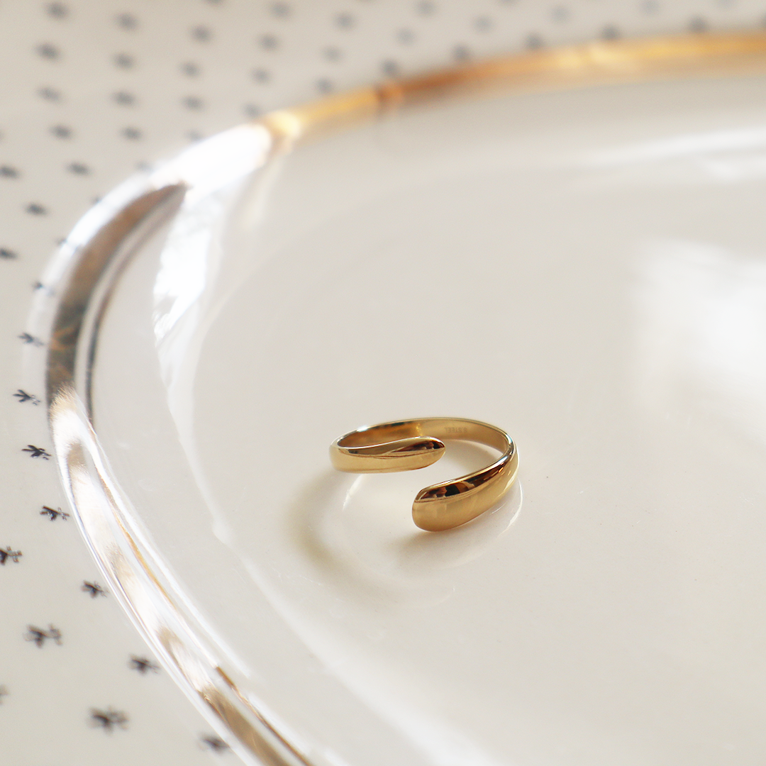 Ouroboros Stainless Steel Ring